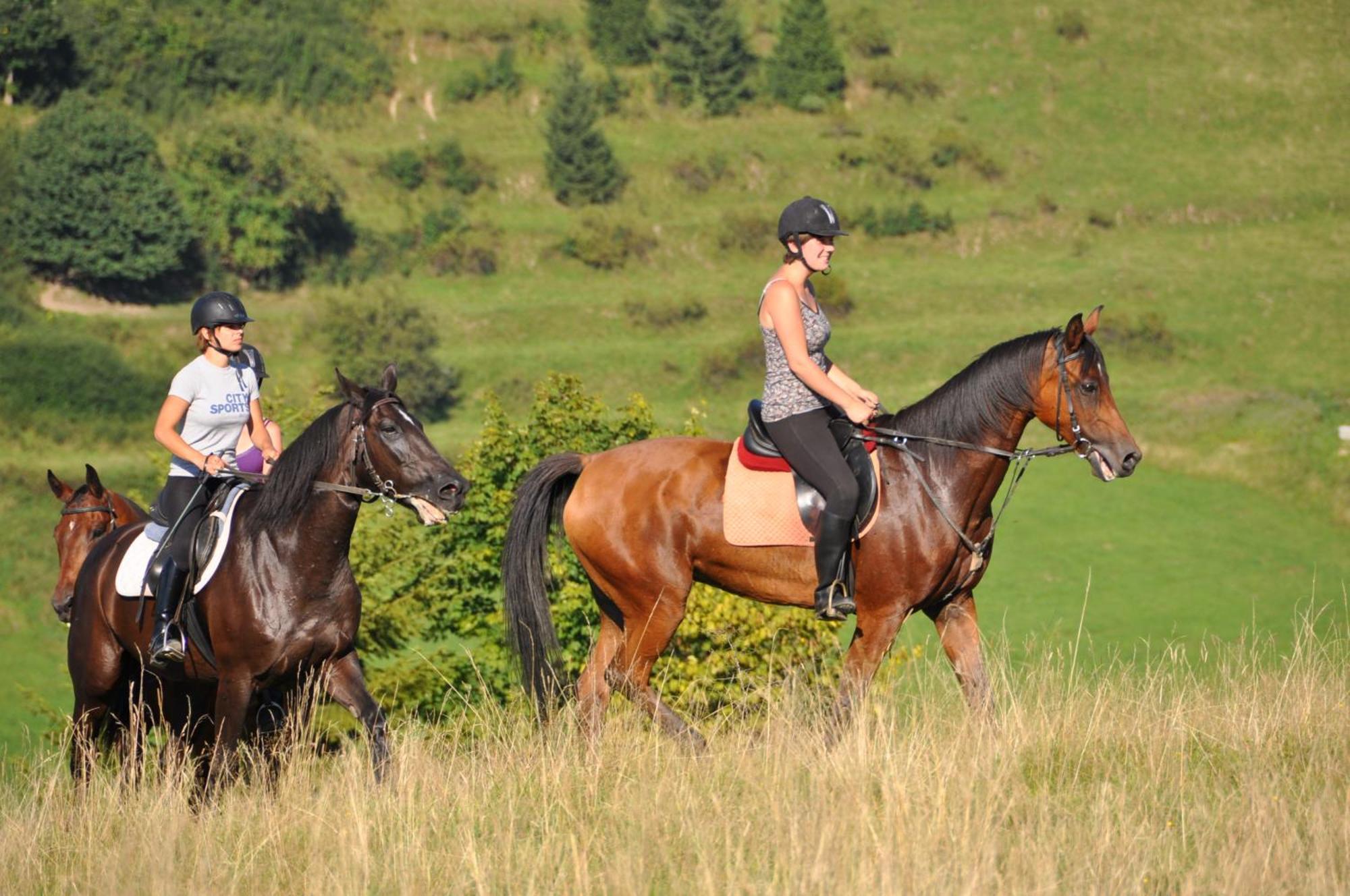 Nawigator Szczawnica